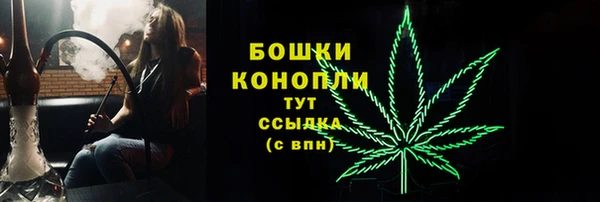 PSILOCYBIN Абдулино